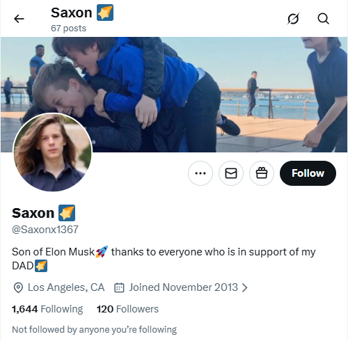 Bot impersonating Elon Musk&rsquo;s son Saxon